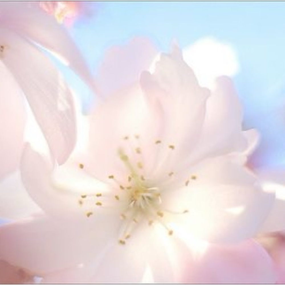 Meet your Posher, Nasarah